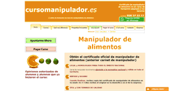 Desktop Screenshot of cursomanipulador.es